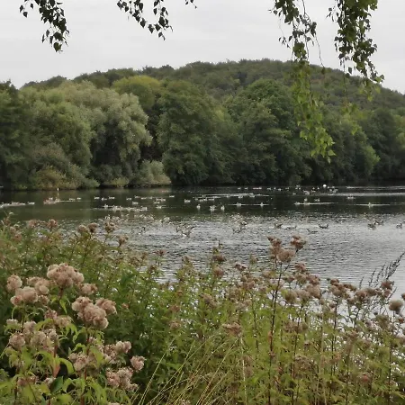 بيت ريفي Hornbrooker