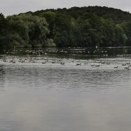 Hornbrooker Mini-hôtel *