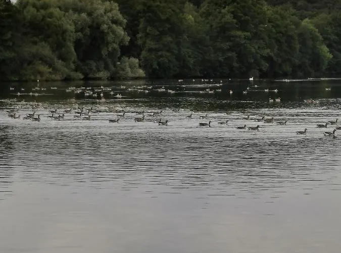 Hornbrooker Mini-hôtel *